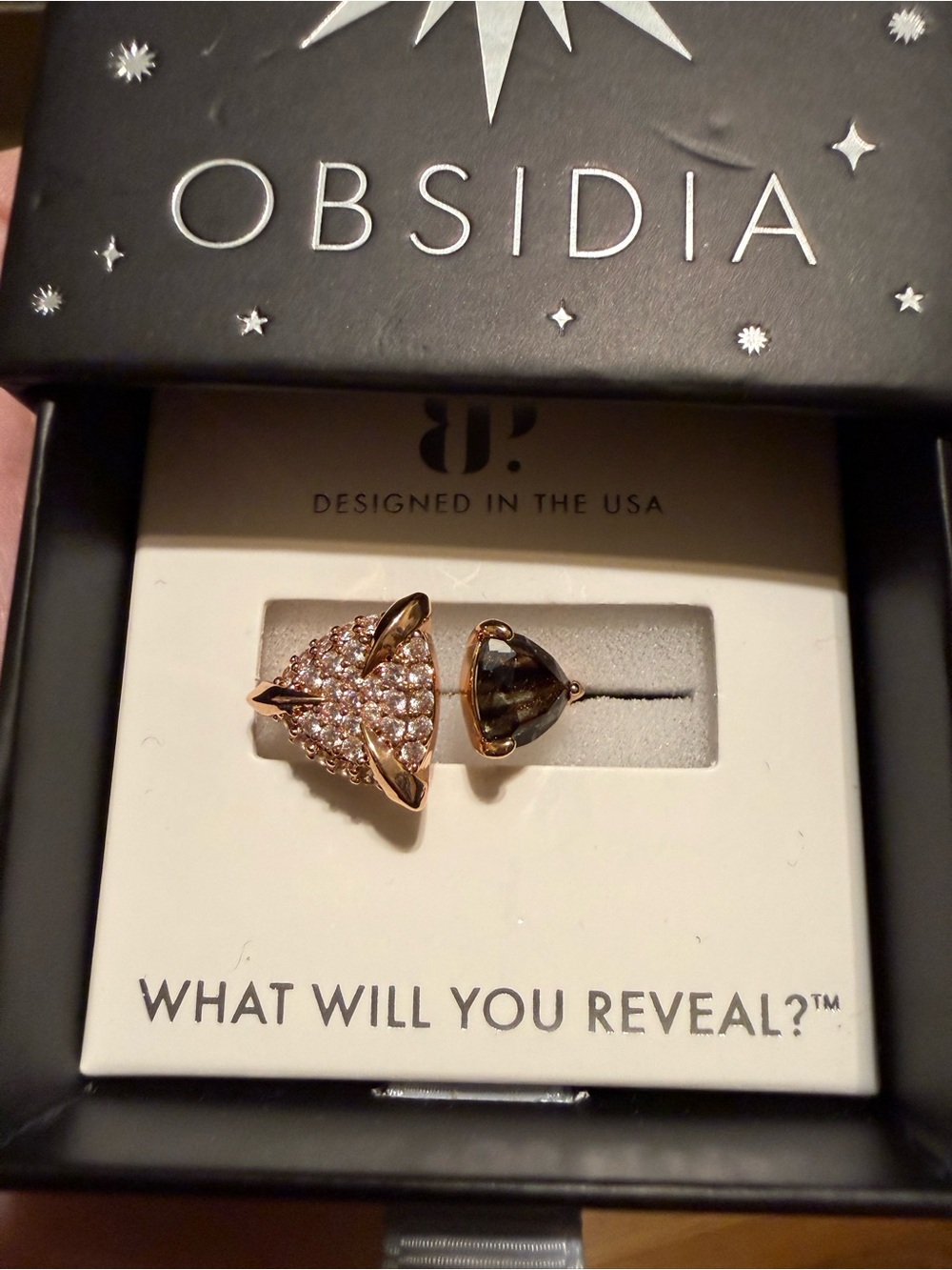 BP Obsidia Darkness and Light (9)